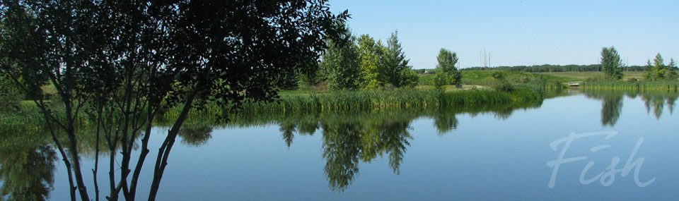 Trout Pond